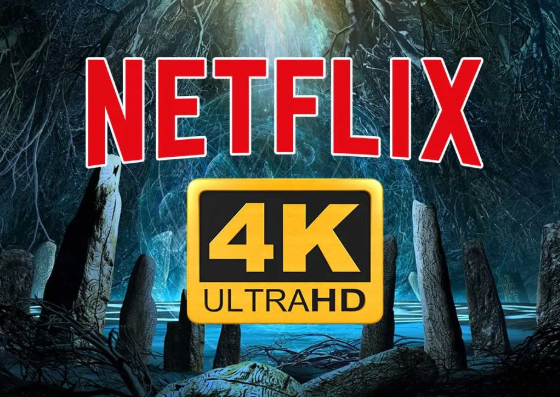Netflix 4K 1 Pantalla